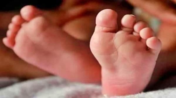 Woman Hacked to Death on Busy Road in West Bengal; Man Attempts Suicide After Attack
