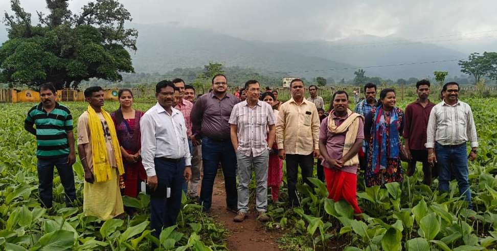 Mahmud Ahmed, Central Officer-in-Charge in Malkangiri Tourism: Carried out various developmental projects ସମୀକ୍ଷା