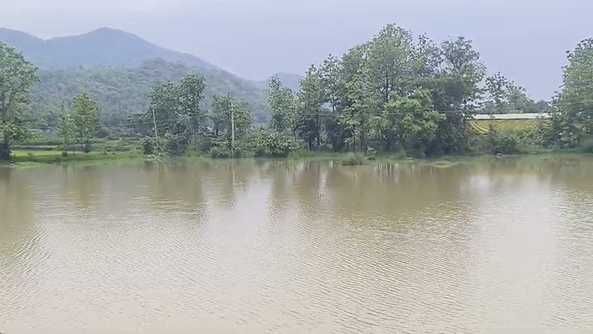 Farmland submerged in heavy rains, farmers worried over crop damage
