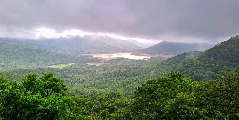 Weak low pressure system: Rain likely across Western Ghat districts of TN till July 30