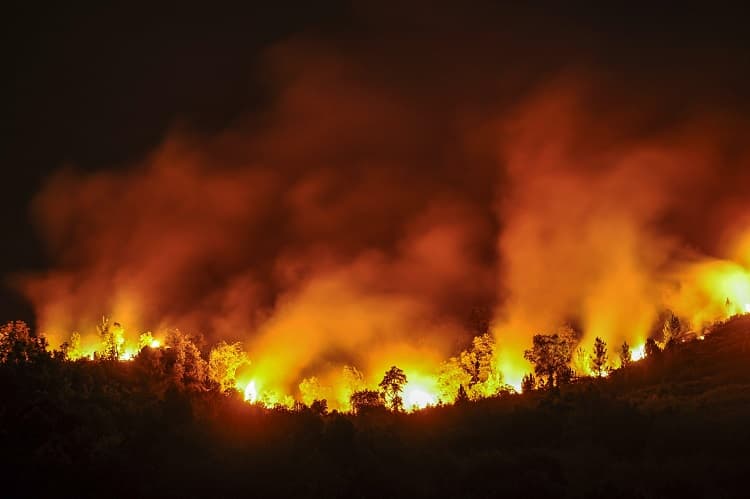 Spain's wildfire crisis continues as national emergency ends in Madrid, Avila