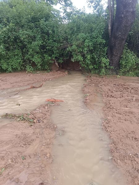 Heavy rains cause pond to burst its banks: Farmland submerged; Fish farmers also suffer huge losses