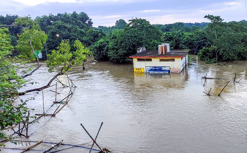 6 lakh people in 5 districts of the state affected by floods: Revenue Minister