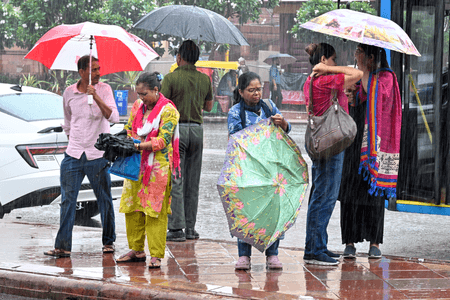 Delhi rains: Fire Department receives multiple calls of house, tree collapse incidents