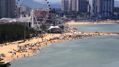 Heat-related illness patients in late summer up 3-fold over past decade: Data