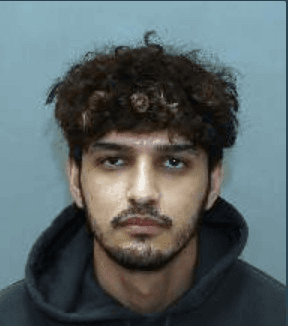 Man arrested months after killing Indian-origin Himanshi Khurana in Canada's Toronto