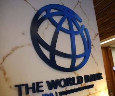 Agriculture to health, India reaps AI gains: World Bank