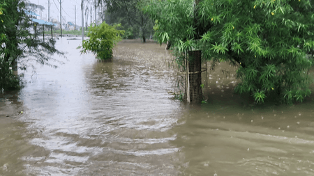 Heavy rain disrupts normal life in MP; schools shut in Bhopal