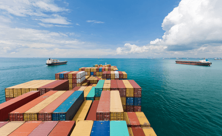 Govt has adopted multi-pronged policy to safeguard economy amid global uncertainty: Minister