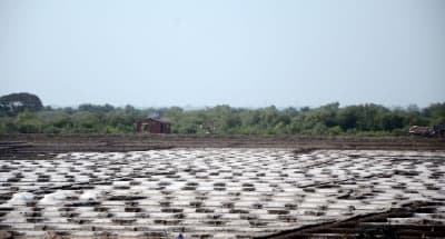 TN salt producers seek CM’s intervention to renew leases on government land