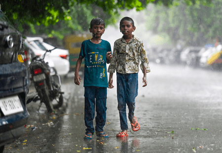MP records 15 pc rainfall deficit, dam storage at 49 pc