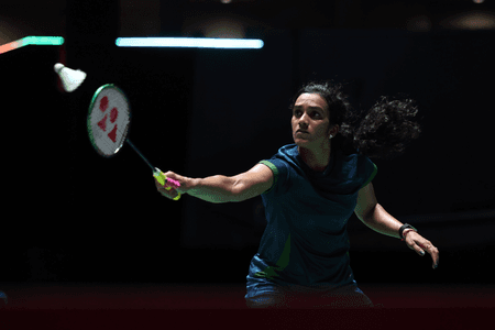 Sindhu supports 'efforts' to tackle monkey menace at World Championship venue
