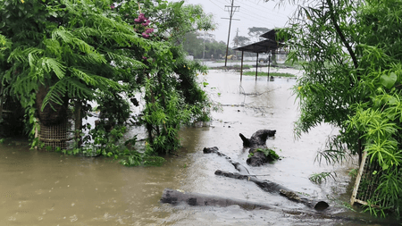 Rain continues across MP for third day, disrupts normal life; more showers likely