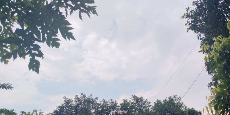 Rain spell continues in Uttarakhand; alerts issued for several districts.