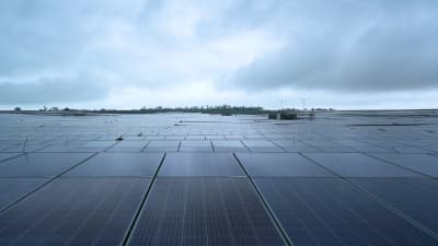 India on track for record 50 GW solar capacity in 2026 amid booster for domestic supply chain