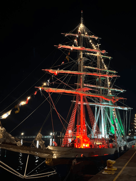 Indian naval ships reflect India's maritime presence at overseas ports on Independence Day: Navy