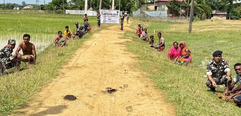 Assam Hojai Ssb Plantation