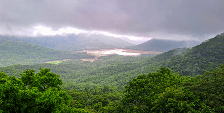 Rain likely in TN's Western Ghat districts; thunderstorms, lightning in Chennai