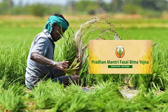 Pradhan Mantri Fasal Bima Registration Period Extended Till August 31
