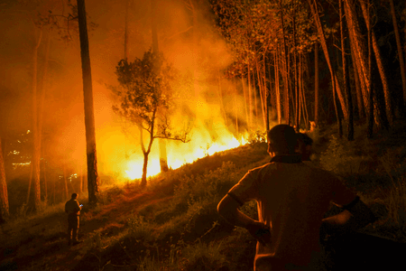 10 acres of Chamarajanagar reserve gutted; fire suspected to be retaliation for killing of poachers by Forest Dept