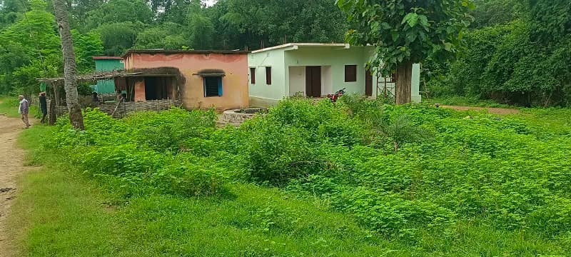 High-level inquiry committee formed to probe Satkosia affected people