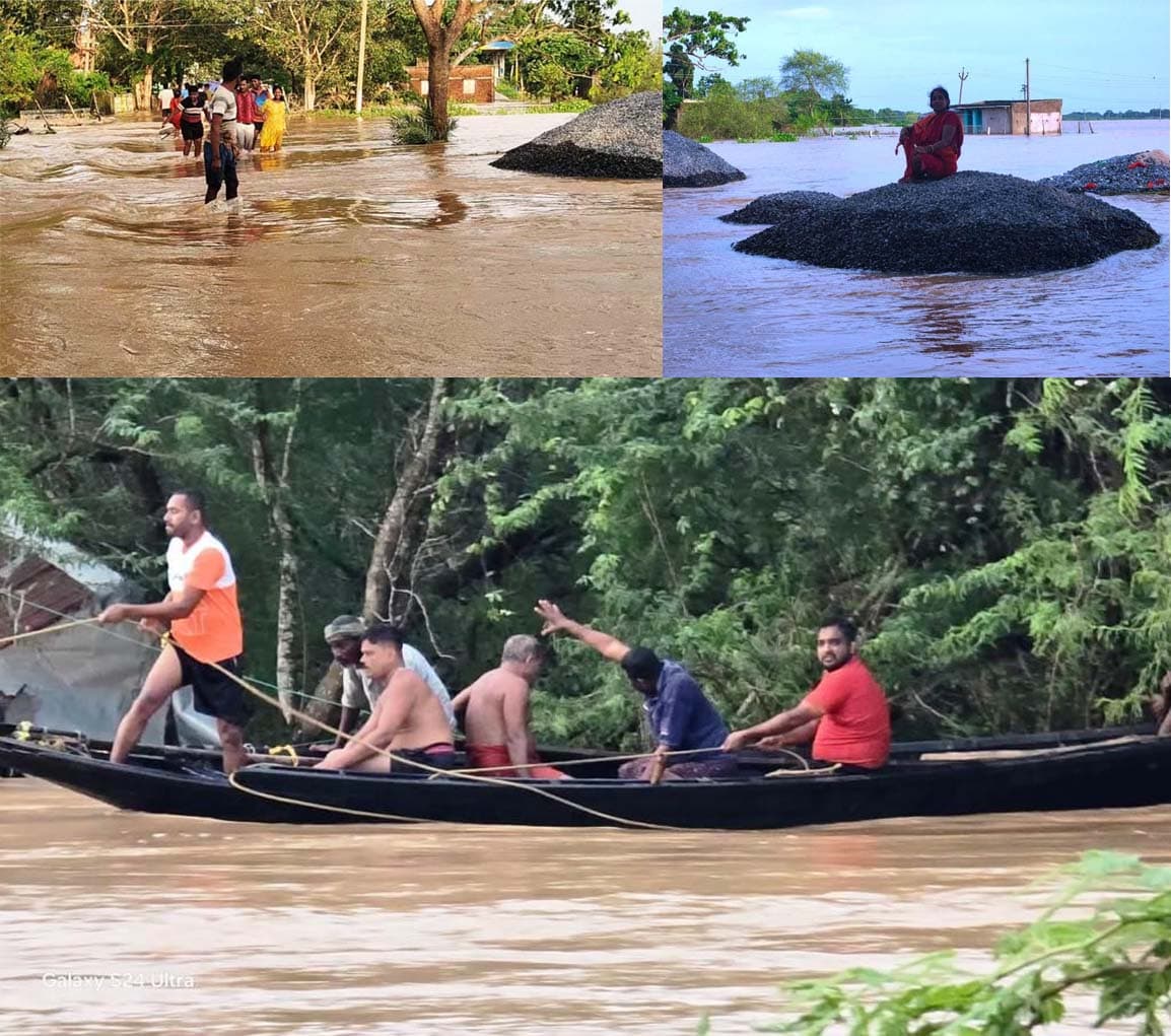 The flood of Baitarani and Salandir has grown in the upper head of Kamila in the lower head, the flood has destroyed the dangerous, the violent snakes in the riverbank; Fear of poisonous snakes in villages