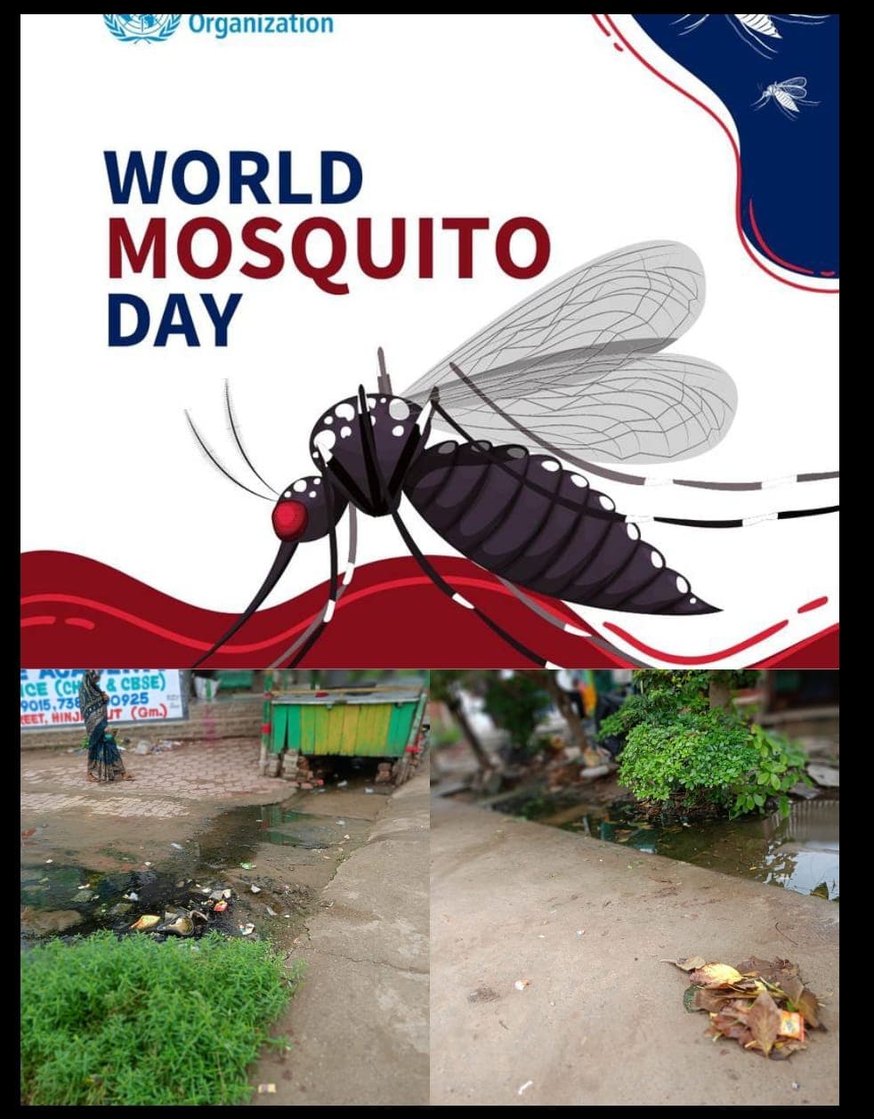 World Mosquito Day Pital Ganjam