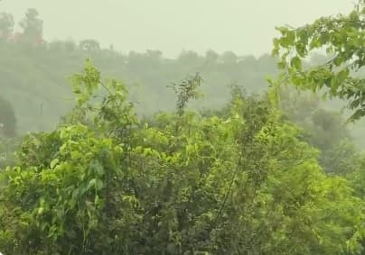 Heavy Rain Jammu Kashmir