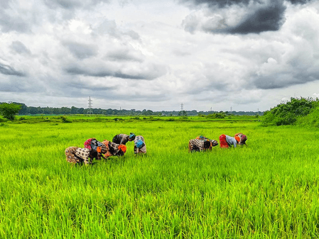 Over 18 lakh farmers switch to natural farming as India transits to regenerative agriculture