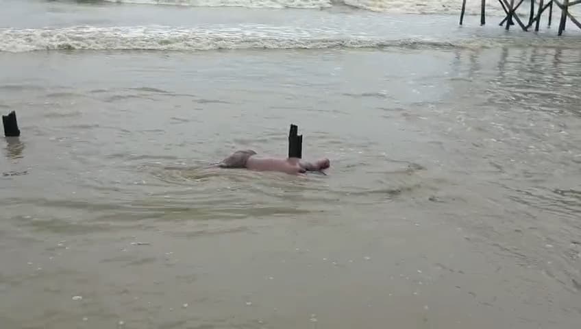 Two Tourists Drown Mandarmani