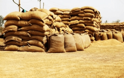 17-tonne ration rice haul seized near Kerala border, TN Revenue official assaulted