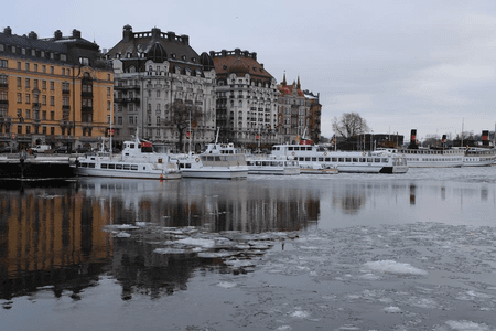 Thousands march in Stockholm for stronger climate action ahead of election