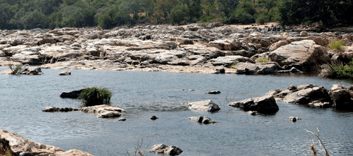 Cauvery row: SC permits Tamil Nadu to approach CWMA, posts plea for Aug 31