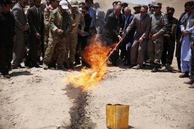 Afghan police seize illegal drugs, arrest drug smuggler