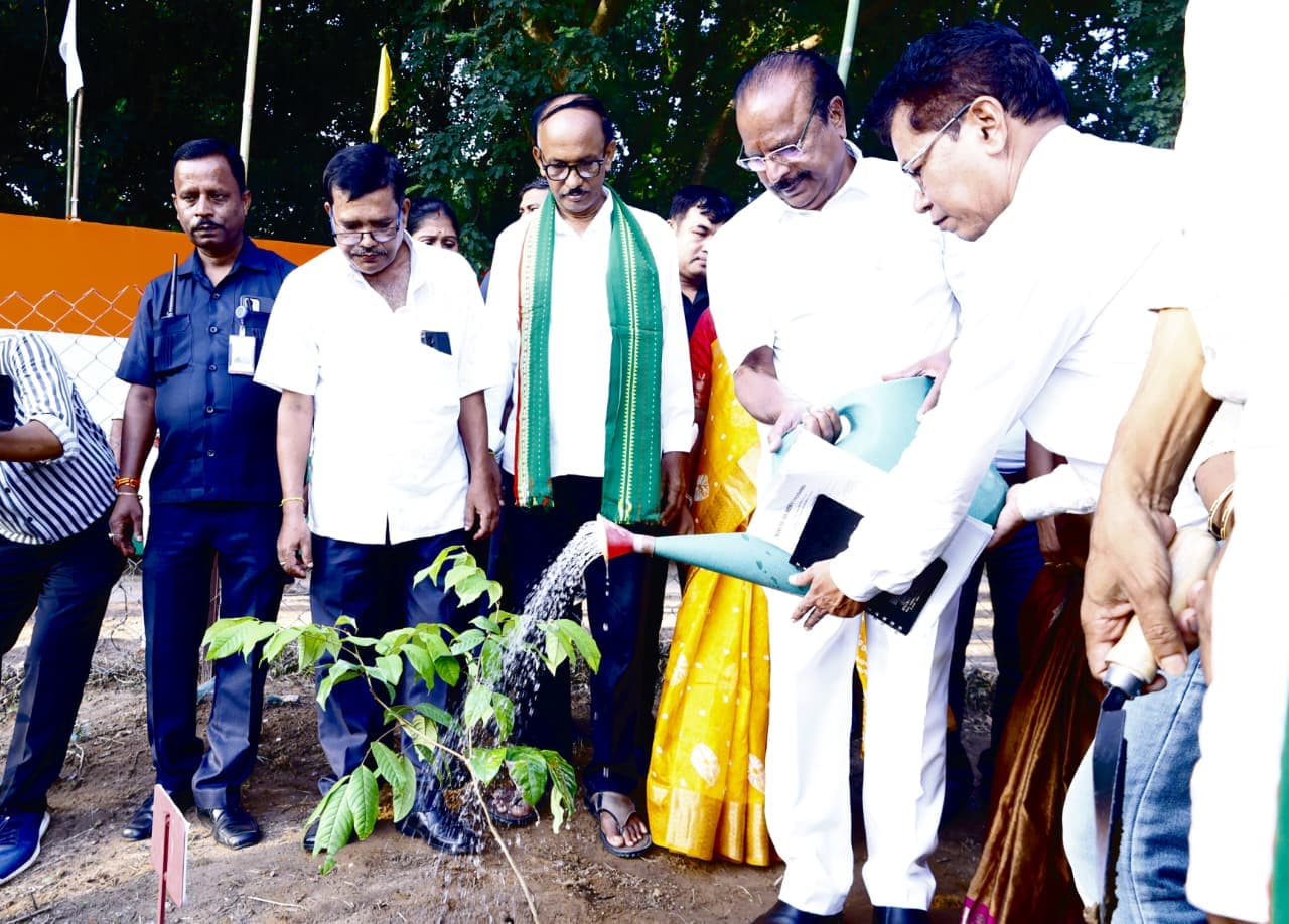 Plplantation Program At Agarta