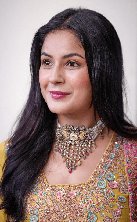 Shehnaaz Gill reveals how ‘Singh vs Kaur 2’ is outcome of her manifestation