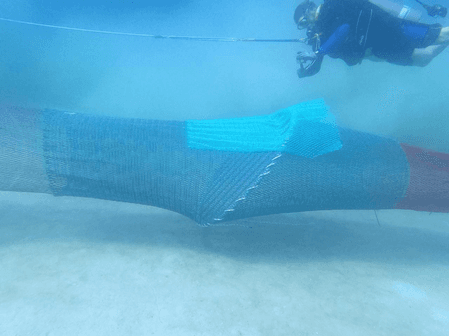 Gujarat to install over 8,900 devices in fishing nets to protect sea turtles, support shrimp exports