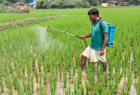 India's 'Per Drop More Crop' scheme brings 115 lakh hectares under micro‑irrigation, boosts income