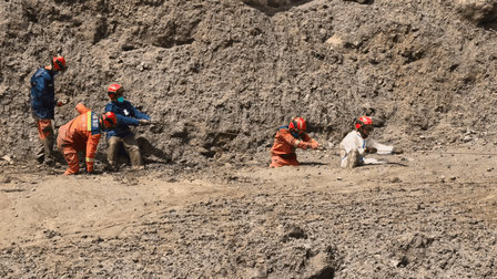 24-hour hotlines established for missing foreign nationals in Tibet