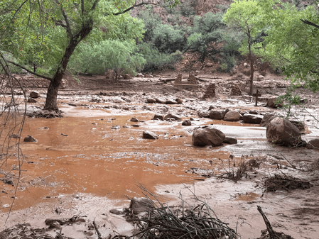 Over 20 missing in US Grand Canyon flash floods; search Ops on