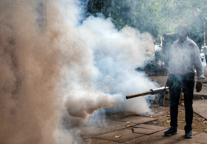 Bengal health department identifies five districts as most dengue-prone