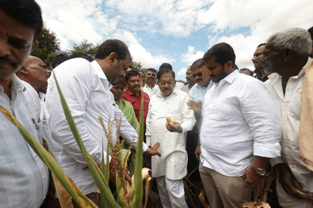 K'taka Dy CM visits drought-hit areas in Mysuru; says govt will decide relief for farmers after assessment